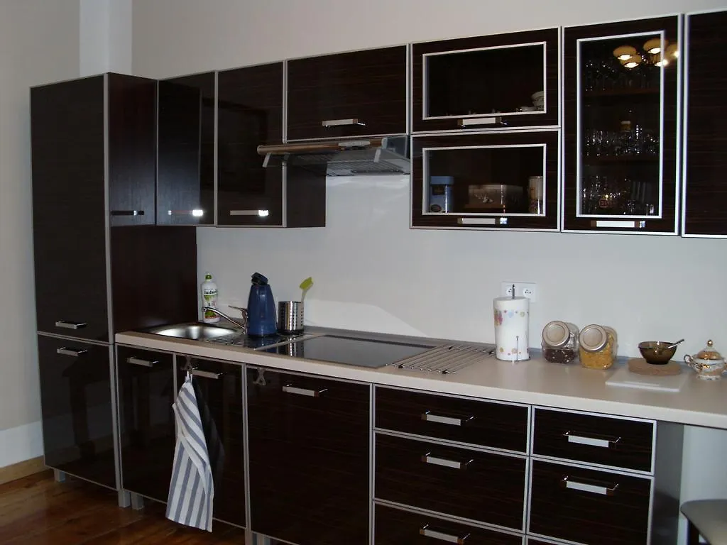 Apartment Irene Poznan
